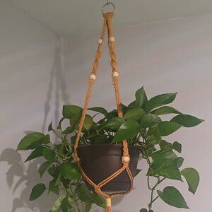 Plant Hanger